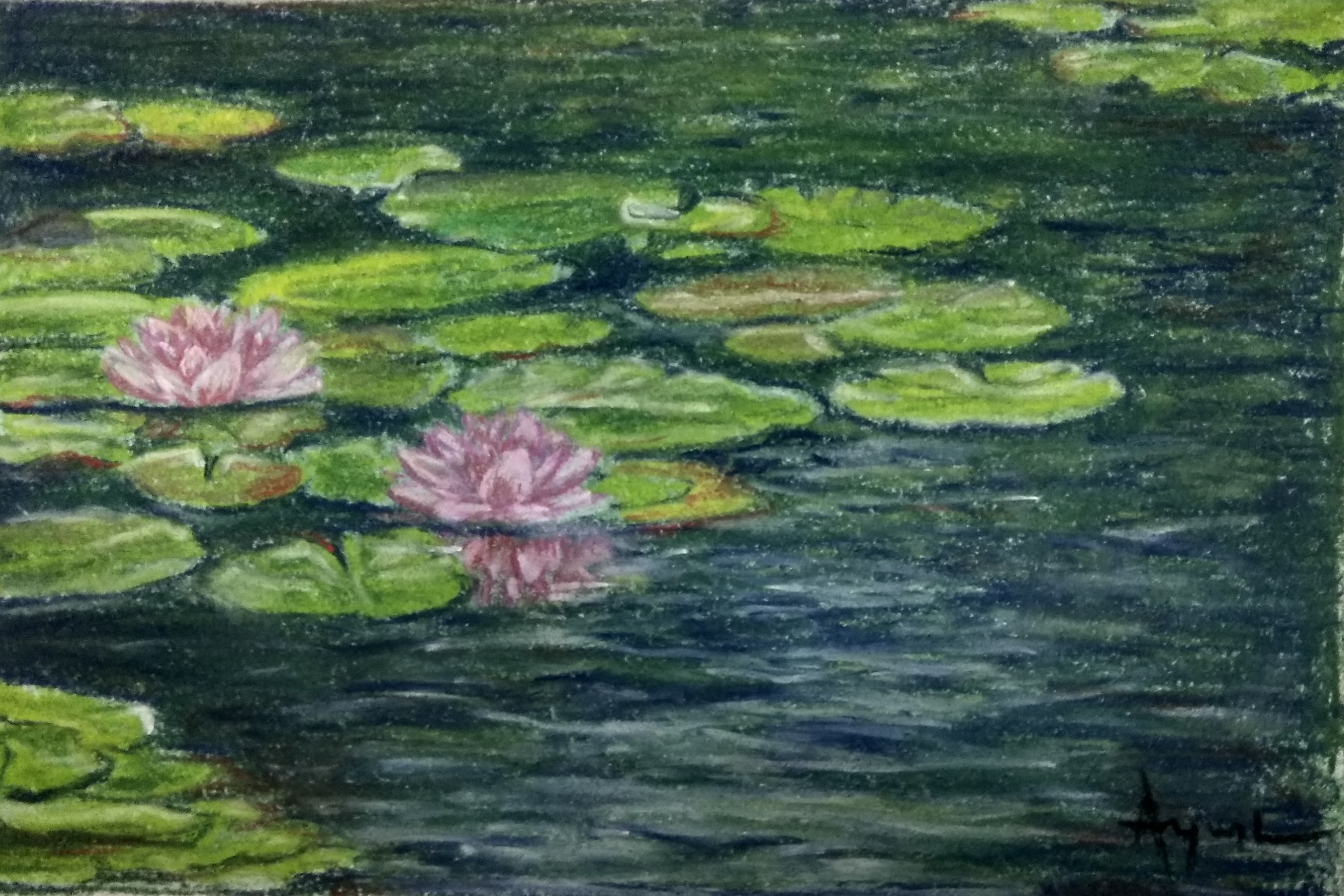 Water Lotuses
